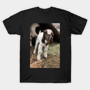 Baby Goat's First Day T-Shirt